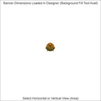 Banners - 2 x 10 Feet - Horizontal or Vertical Thumbnail