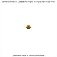 Banners - 2 x 12 Feet - Horizontal or Vertical Thumbnail