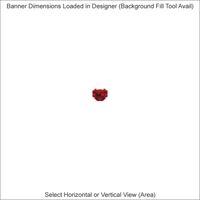 Banners - 2 x 12 Feet - Horizontal or Vertical Thumbnail