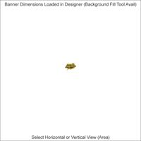 Banners - 2 x 12 Feet - Horizontal or Vertical Thumbnail