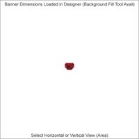 Banners - 2 x 14 Feet - Horizontal or Vertical Thumbnail