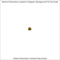 Banners - 2 x 16 Feet - Horizontal or Vertical Thumbnail